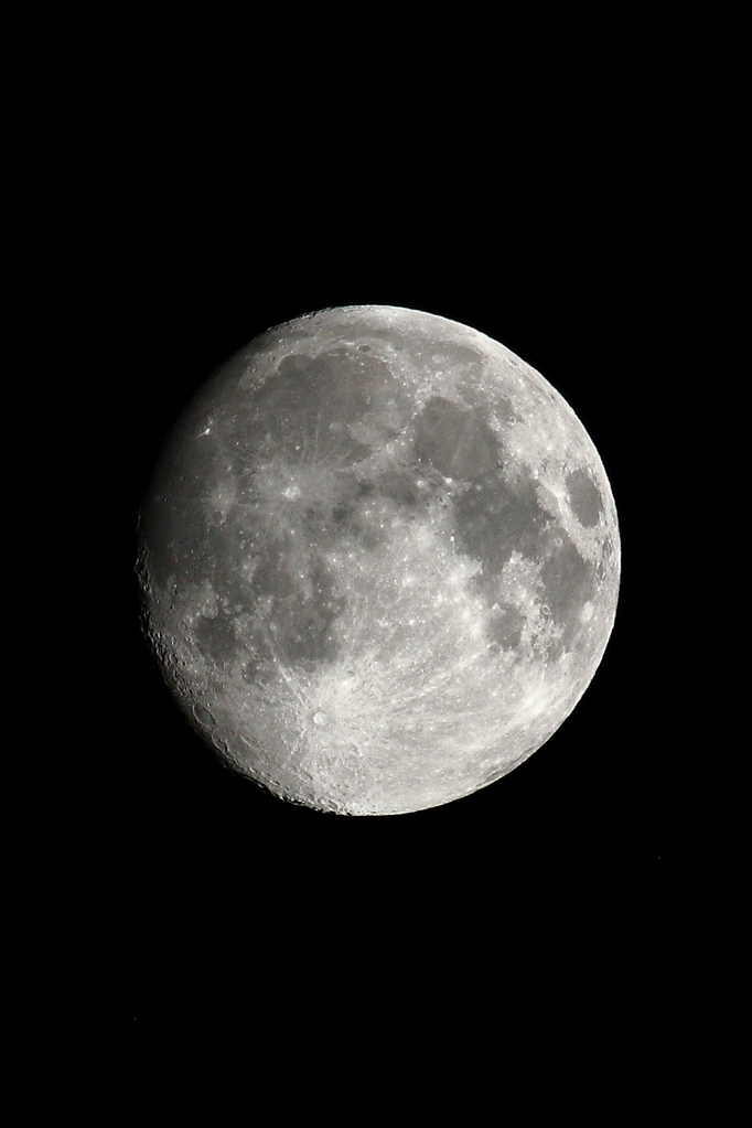 Rainer Deling - Mond
