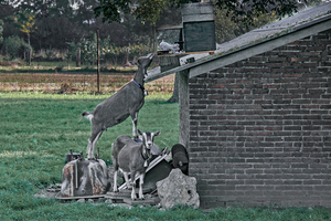 Zusammenarbeit hilft
