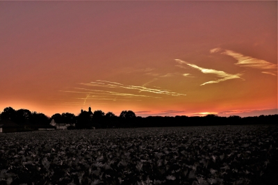 Rainer Deling "Abendlicht"
