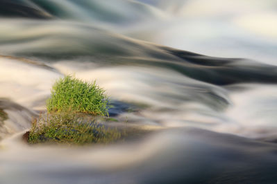 Ingrid Dierdorf - Ruhe im Strom

