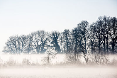 Walter Nork - Winterzauber in Vorst
