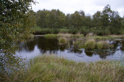 Walter Nork - Herbst im Ewigen Meer/ Aurich
