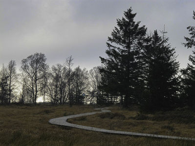 Ingrid Dierdorf - Hohes Venn im SpÃ¤therbst
