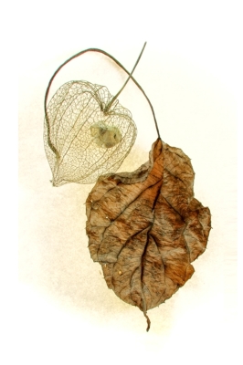 Rainer Deling "Herbstfeeling"
