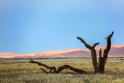 Ingrid Dierdorf "Invalide"
