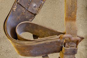 Ingrid Dierdorf - Pferdegeschirr
