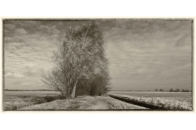 Ingrid Dierdorf - Moorlandschaft
