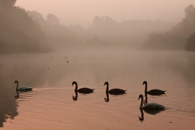 Wiebke Bulgrin - Herbst
