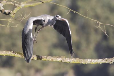 Wiebke Bulgrin - Herbst
