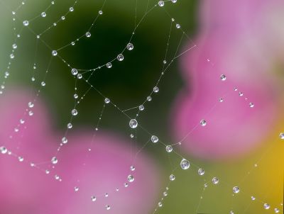 Wiebke Bulgrin - Herbst

