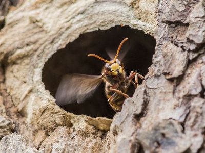 Wiebke Bulgrin - Sommer
