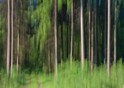 Wiebke Bulgrin - Sommer
