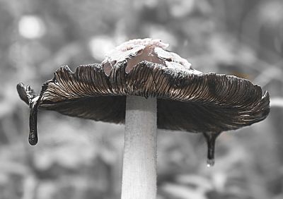 Wiebke Bulgrin - Winter
