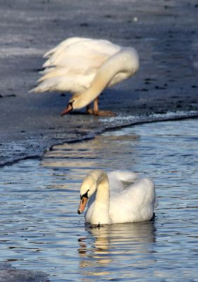 Wiebke Bulgrin - Winter
