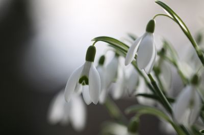 Wiebke Bulgrin - Winter
