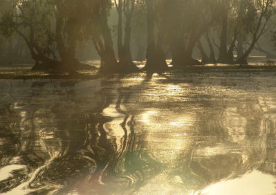 Wiebke Bulgrin - Sonnenaufgang
