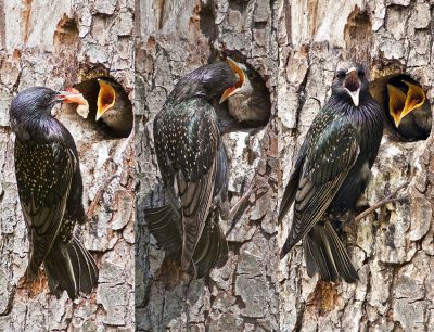 Wiebke Bulgrin - FrÃ¼hling
