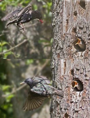 Wiebke Bulgrin - FrÃ¼hling
