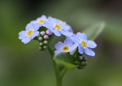 Wiebke Bulgrin - FrÃ¼hling
