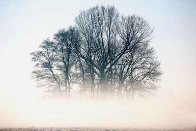 Winterzauber in Vorst
