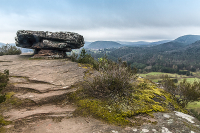 Ingrid Dierdorf - Stammtisch
