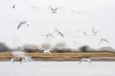 Walter Nork "Aufbruch"
