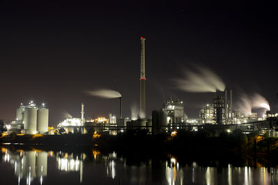 Rainer Deling - Cerestara
