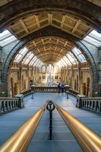 Ingrid Dierdorf "Natural History Museum London"
