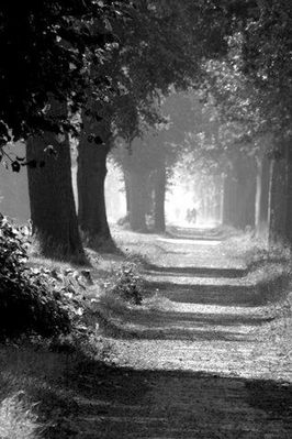 Rainer Deling - Der Weg
