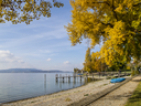 Dateiname=IMG_0046Goldener Herbst auf der Reichenau.jpg
Dateigröße=983KB
Abmessungen: 1000x750
hinzugefügt am: 25. Oktober 2016 IMG_0046Goldener Herbst auf der Reichenau.jpg